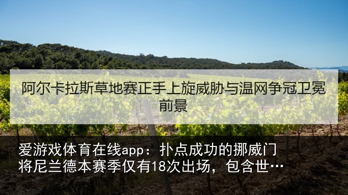 爱游戏体育在线app:扑点成功的挪威门将尼兰德本赛季仅有18次出场,包含世界杯3场