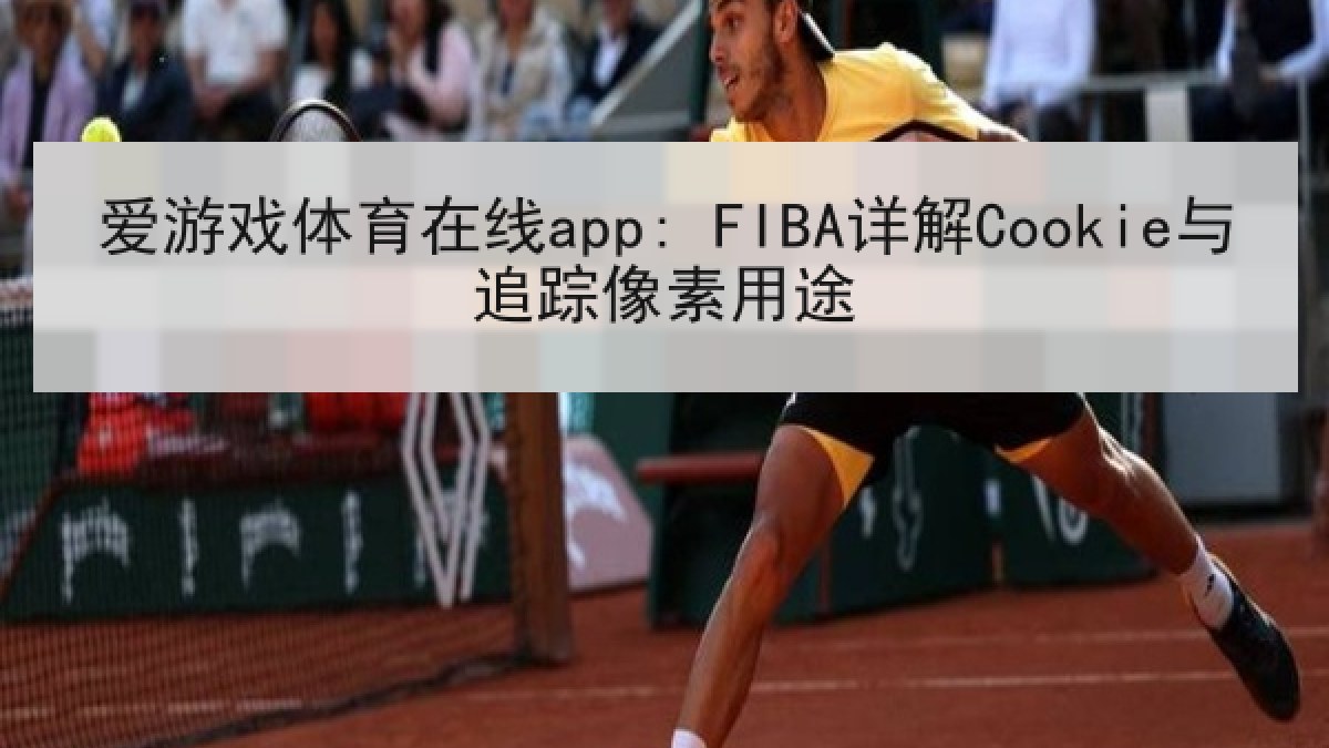 爱游戏体育在线app: FIBA详解Cookie与追踪像素用途