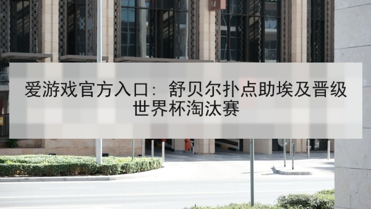 爱游戏官方入口: 舒贝尔扑点助埃及晋级世界杯淘汰赛