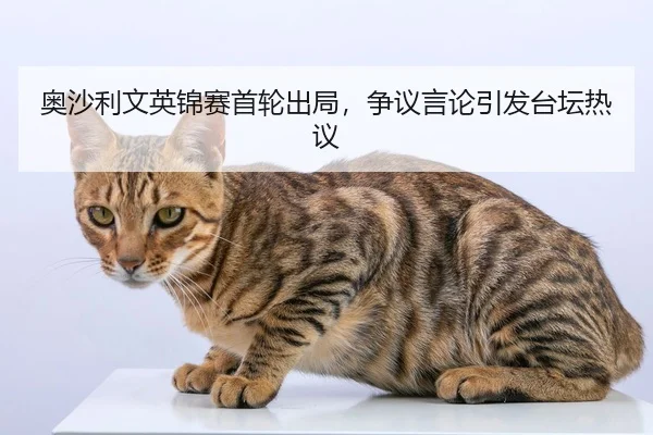 奥沙利文英锦赛首轮出局，争议言论引发台坛热议