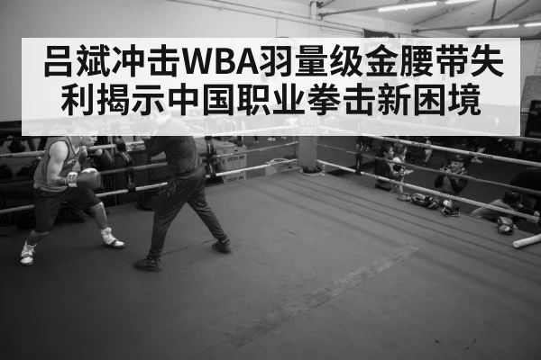 boxer training gym